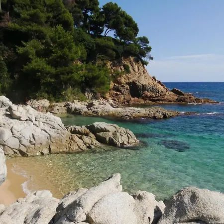 Nexthome Center & Pool Lloret de Mar